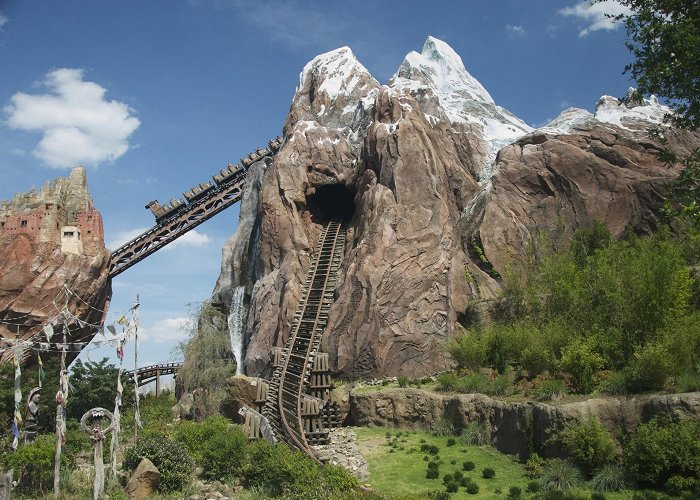 Disney's Animal Kingdom Theme Park photo