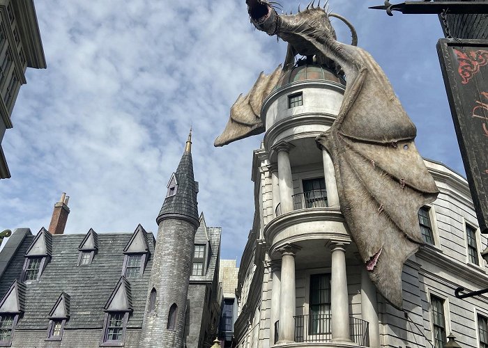 The Wizarding World of Harry Potter photo