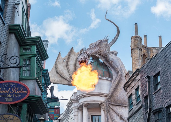 The Wizarding World of Harry Potter photo