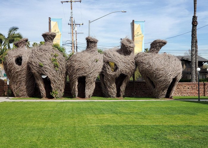 Long Beach Museum of Art photo