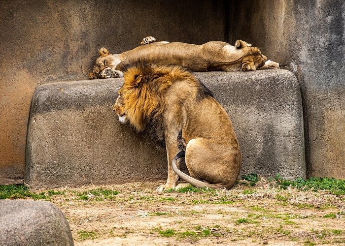 Louisville Zoo photo