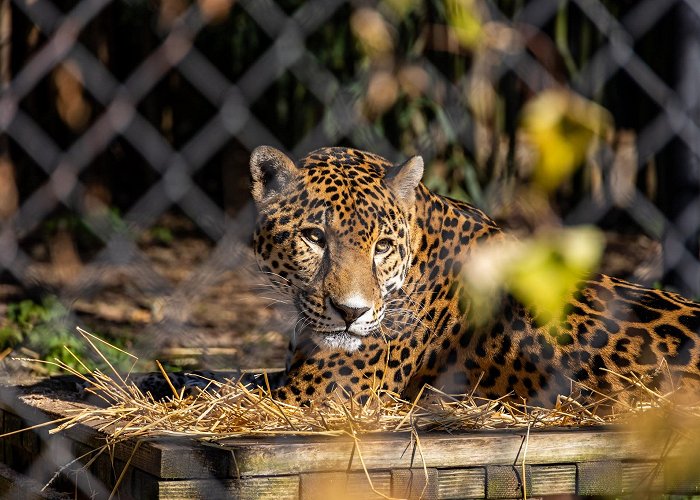 Louisville Zoo photo