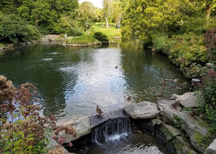 Morris Arboretum photo