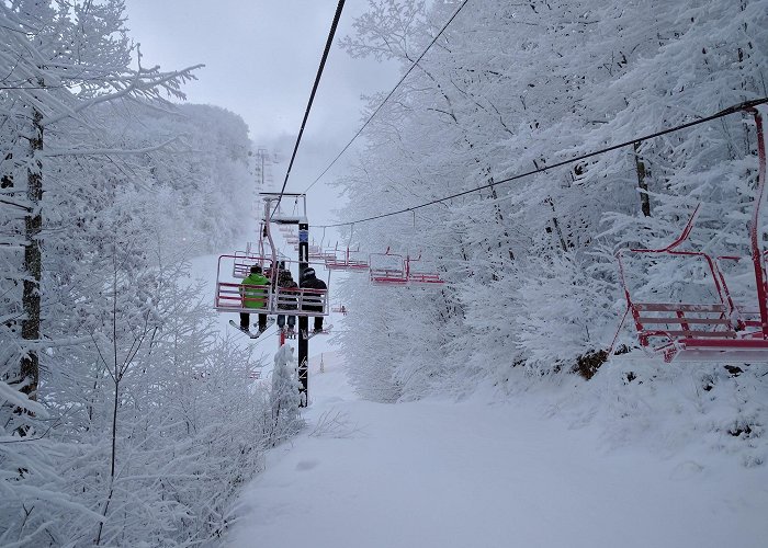 Ober Mountain Adventure Park & Ski Area photo