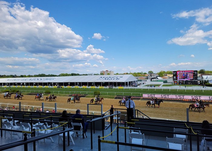 Pimlico Race Course photo