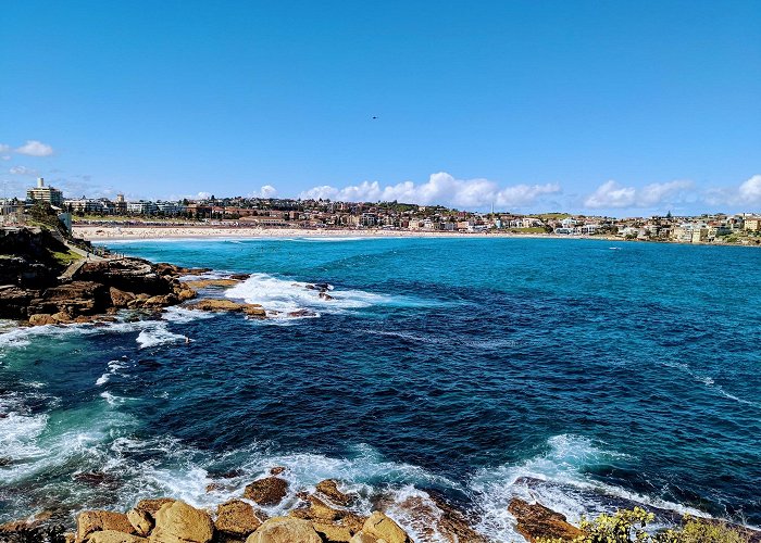 Bondi Beach photo