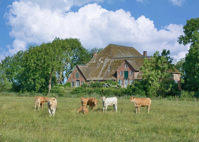 Saint Peter-Ording zoo Schleswig-Holstein Vacation Homes: House Rentals & More | Vrbo photo