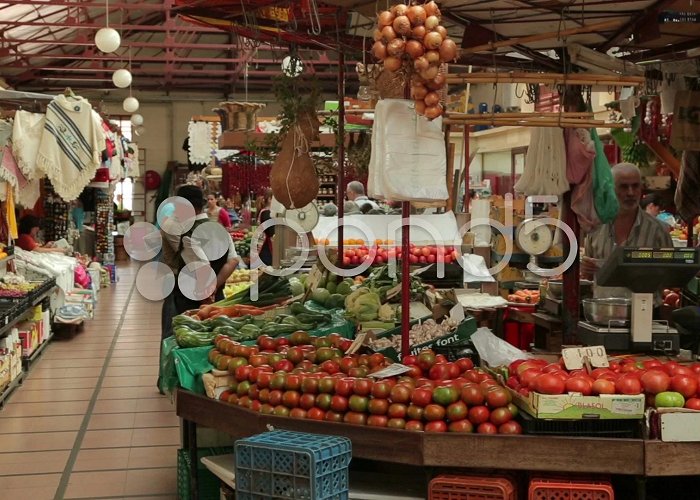 Workers Market fruit and vegetable stall at funchal wor... | Stock Video | Pond5 photo