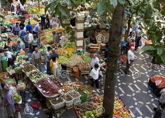 Workers Market 2,475 Market Funchal Stock Photos - Free & Royalty-Free Stock ... photo