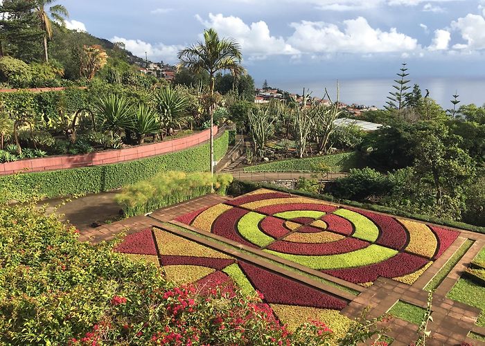 Centro Comercial Forum Madeira Madeira Botanical Garden Tours - Book Now | Expedia photo