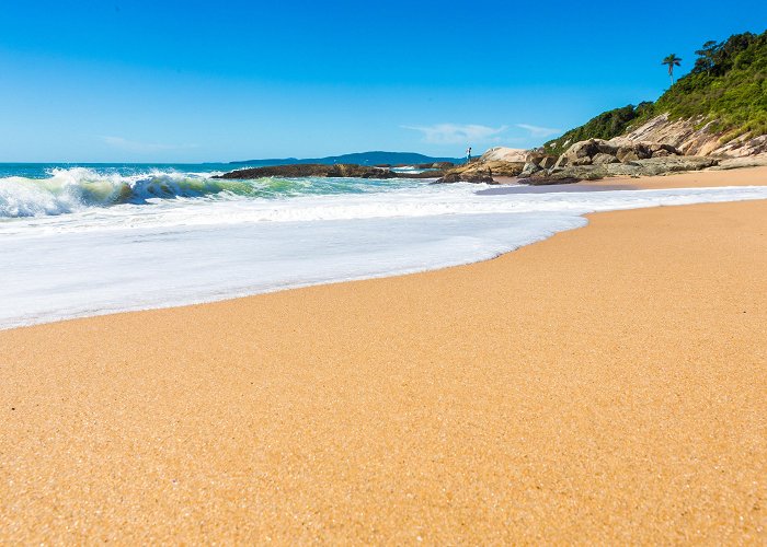 Estaleiro Beach Estaleirinho Beach in Santa Catarina | Expedia.co.in photo