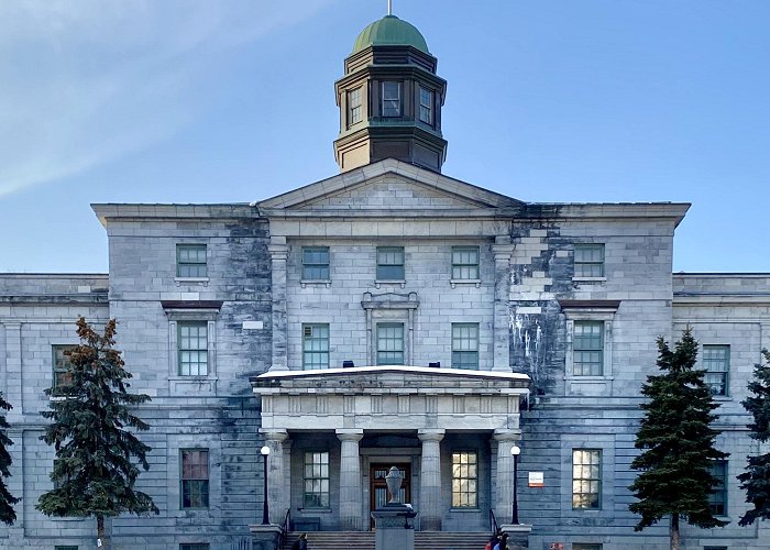 McGill University 944631ec50 – WordPress photo | WordPress.org Photo Directory photo