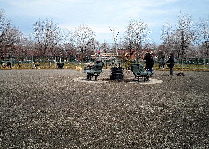 Laurier Park Sunday in the Dog Park | flashbracket photo