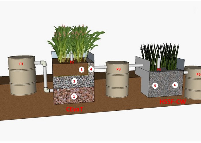 Dom Bosco Catholic University Resources | Free Full-Text | Assessment of Surfactant Removal ... photo