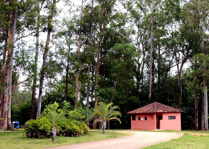 Biquinha park Curso de Sistemas de Irrigação por Aspersão será no Pq. Chico ... photo