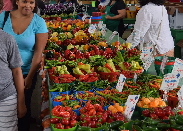 Jean Talon Market Montreal's Jean-Talon Market – gardeninacity photo