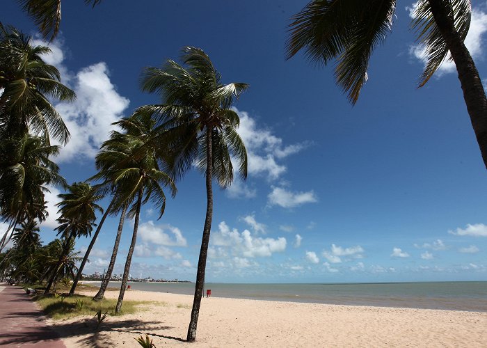 Cabo Branco Lighthouse Things to Do in João Pessoa in 2024 | Expedia photo