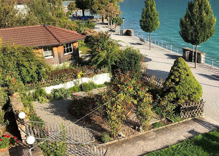 Wildpark Brienz THE 10 BEST Brienz Romantic Hotels for Couples 2024 - Tripadvisor photo