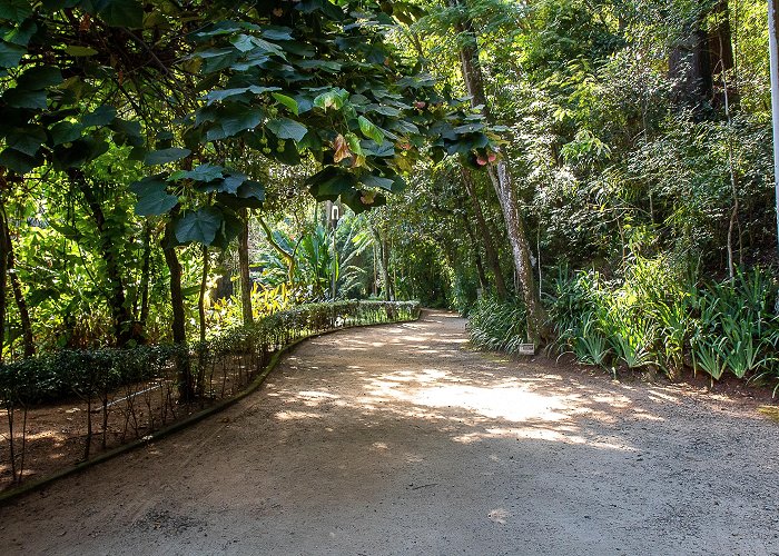 Lajinha Park Visit Juiz de Fora: Best of Juiz de Fora, Minas Gerais Travel 2024 ... photo