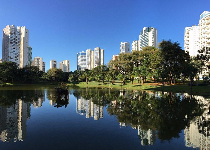 Flamboyant Park $199 CHEAP FLIGHTS FROM Campinas, SP to Goiania, GO [SAO - GYN ... photo