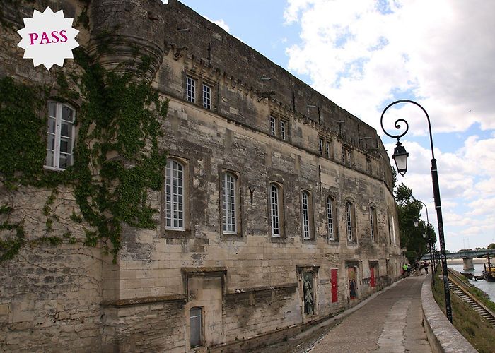 Musee Reattu Réattu Museum (Arles) | Provence-Alpes-Côte d'Azur Tourism photo