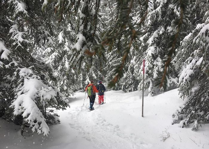 Luftseilbahn Attinghausen - Brüsti Schneesicherer Geheimtip - Attinghausen - Guidle photo