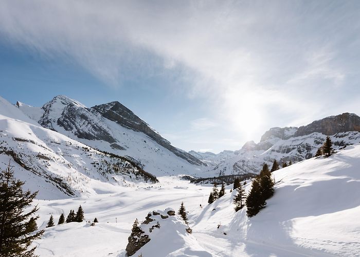 Luftseilbahn Kandersteg-Sunnbuel Kandersteg–Sunnbüel Winter Sports Area - Excursions photo