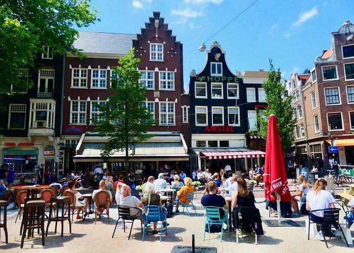 Spui Square Dutch Delights: Slow Travel, Windmills, and Tulips - Holland ... photo