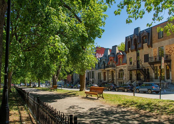 Mont Royal Avenue Visit Plateau Mont-Royal: 2024 Plateau Mont-Royal, Montreal Travel ... photo