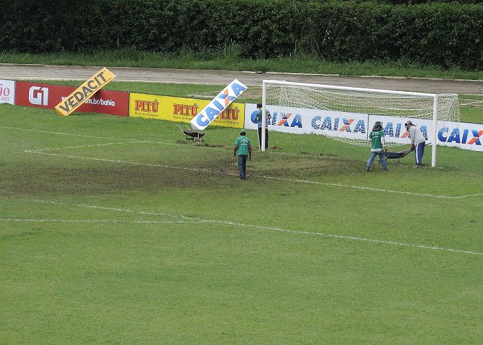 Lomanto Junior Stadium Funcionários trabalham para melhorar gramado de Vitória da Conquista photo