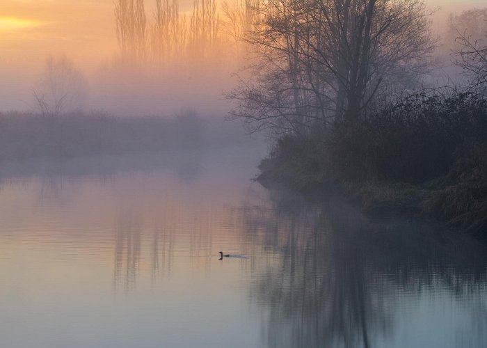 Vancouver Burnaby Lake Nature Took this at Burnaby Lake the other day. I hope we get some more ... photo