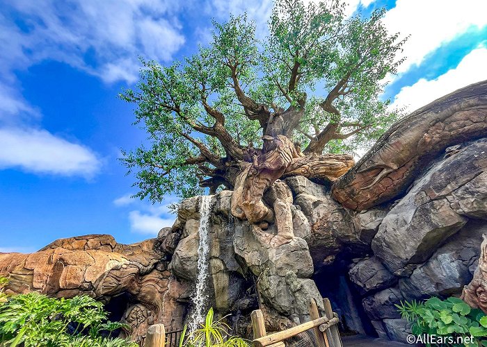 Disney's Animal Kingdom Theme Park Disney's Animal Kingdom Overview - AllEars.Net photo