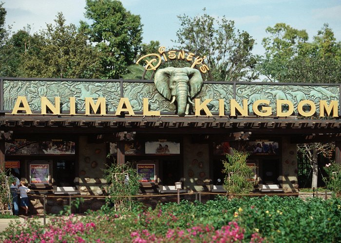 Disney's Animal Kingdom Theme Park Unleash Your Wild Side at Disney's Animal Kingdom (Disney Vacation ... photo