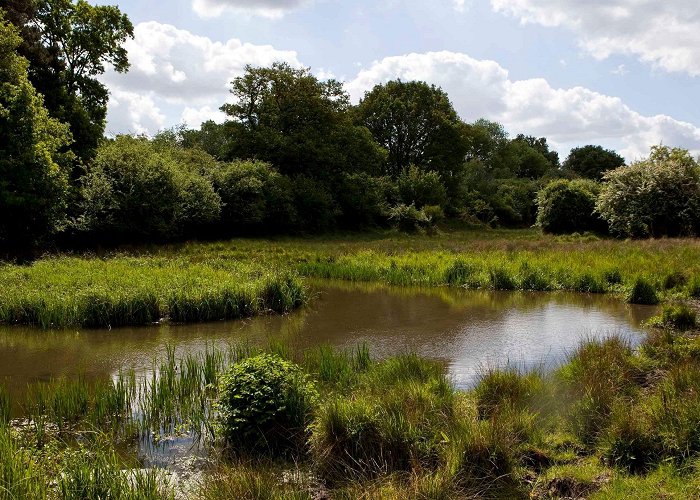 Hatfield Forest Hatfield Forest | Essex | National Trust photo