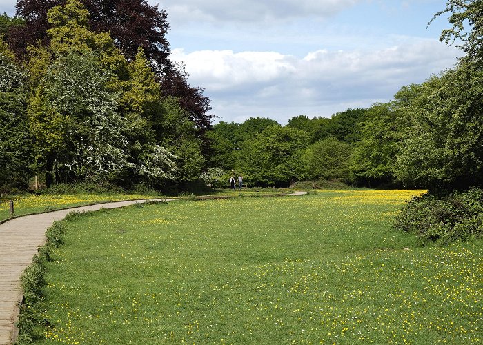 Hatfield Forest Visit Takeley: 2024 Travel Guide for Takeley, Bishop's Stortford ... photo