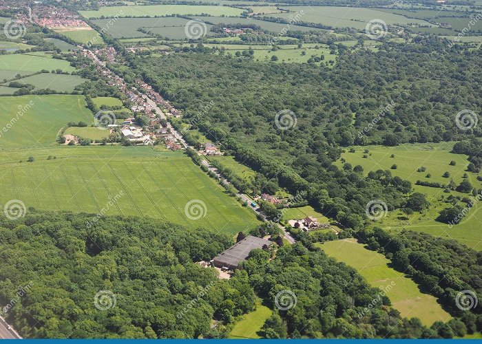 Hatfield Forest Takeley Stock Photos - Free & Royalty-Free Stock Photos from ... photo