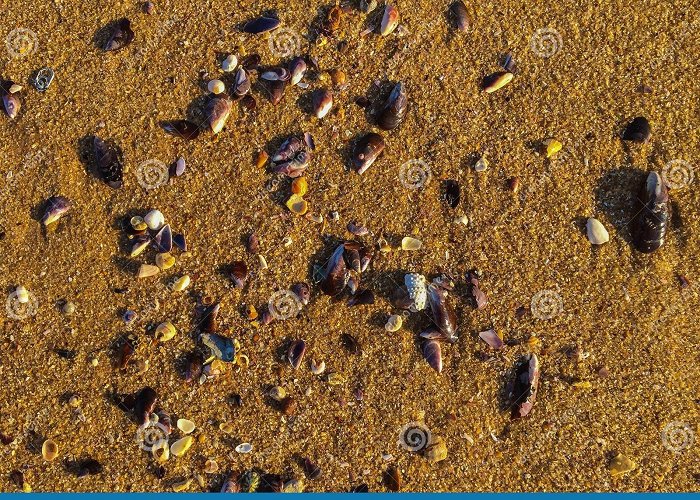 Cavaleiros Beach Cavaleiros Beach Stock Photos - Free & Royalty-Free Stock Photos ... photo