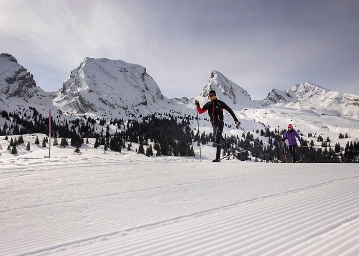 Alt St. Johann-Sellamatt BERGFEX: Cross-country skiing Alt St Johann-Wildhaus/Toggenburg ... photo