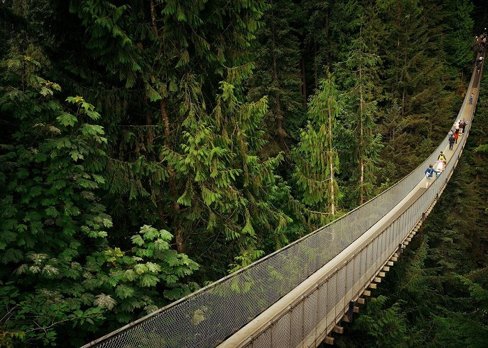 Capilano Suspension Bridge Capilano Suspension Bridge & Park — Park Review | Condé Nast Traveler photo