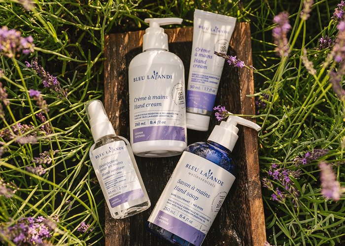 Bleu Lavande Bleu Lavande | Natural Lavender Products and Lavender Fields photo