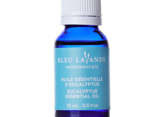 Bleu Lavande Eucalyptus globulus essential oil | 100% pure | Bleu Lavande photo