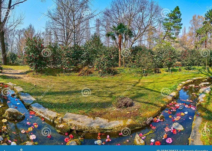 Camellia Park Locarno Panorama of Camellia Park in Locarno with Curved Creek ... photo