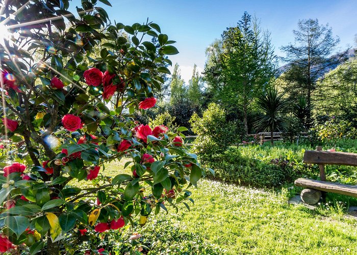 Camellia Park Locarno Camellia Park | Switzerland Tourism photo