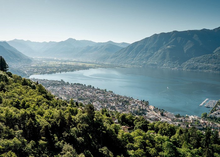 Camellia Park Locarno Locarno | Switzerland Tourism photo