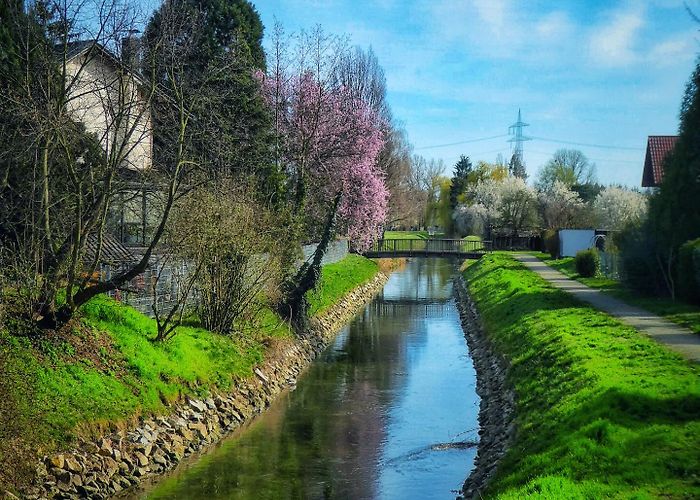 Reilingen photo