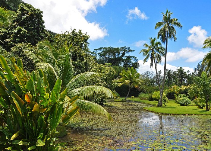 Papeete (Tahiti) photo