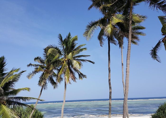 Matemwe (Zanzibar) photo