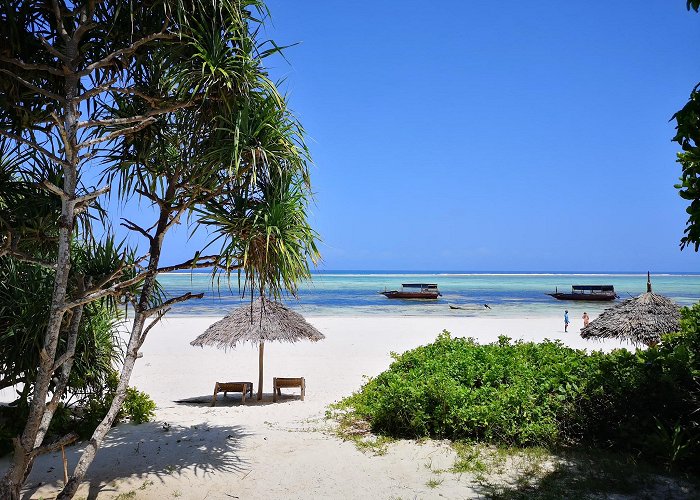 Matemwe (Zanzibar) photo