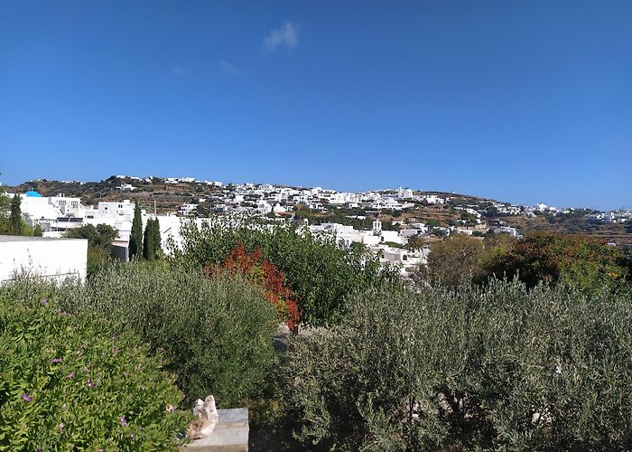 Apollonia (Sifnos) photo