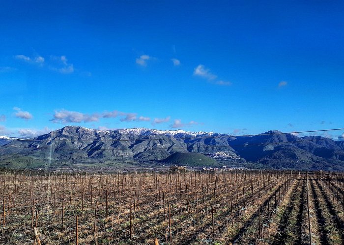 Castiglione De Sicilia photo